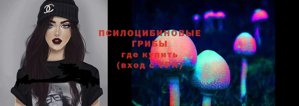 круглые Абаза