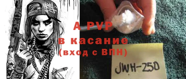 круглые Абаза