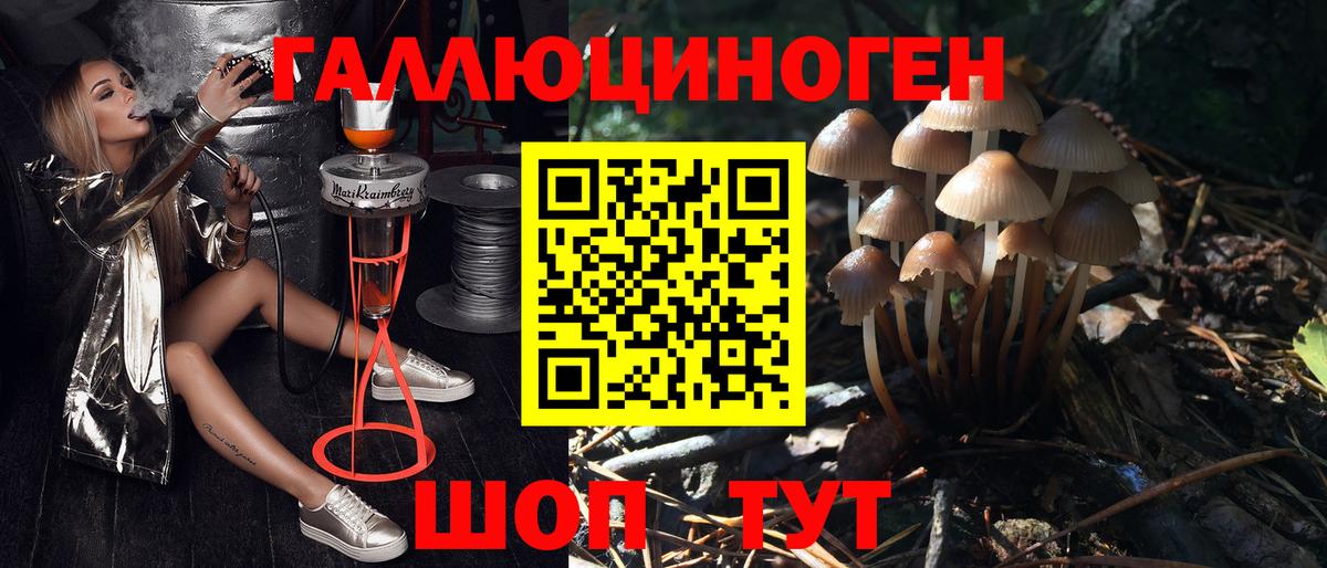 Псилоцибиновые грибы MAGIC MUSHROOMS Альметьевск
